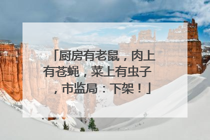 厨房有老鼠，肉上有苍蝇，菜上有虫子，市监局：下架！