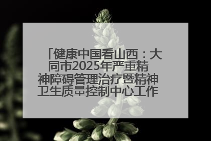 健康中国看山西：大同市2025年严重精神障碍管理治疗暨精神卫生质量控制中心工作培训班开班