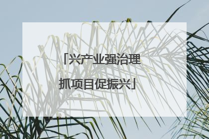兴产业强治理 抓项目促振兴