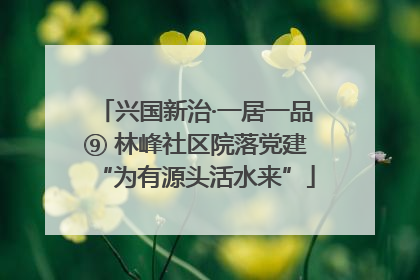 兴国新治·一居一品⑨ 林峰社区院落党建“为有源头活水来”
