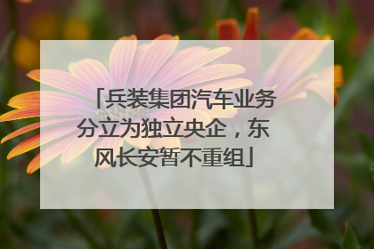 兵装集团汽车业务分立为独立央企，东风长安暂不重组