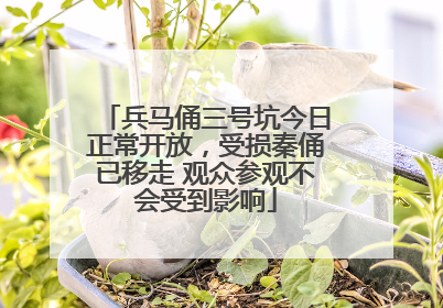 兵马俑三号坑今日正常开放，受损秦俑已移走 观众参观不会受到影响