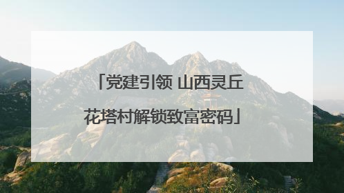 党建引领 山西灵丘花塔村解锁致富密码