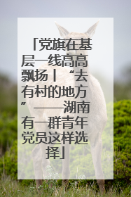 党旗在基层一线高高飘扬丨“去有村的地方”——湖南有一群青年党员这样选择
