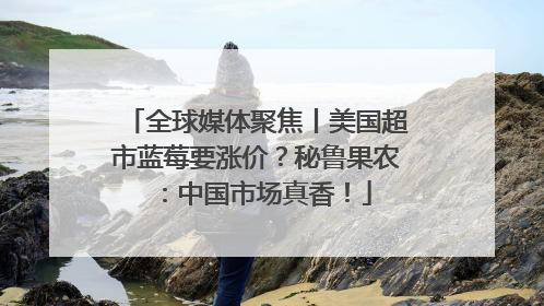 全球媒体聚焦丨美国超市蓝莓要涨价？秘鲁果农：中国市场真香！