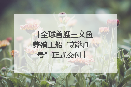 全球首艘三文鱼养殖工船“苏海1号”正式交付