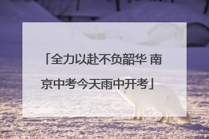 全力以赴不负韶华 南京中考今天雨中开考