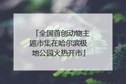 全国首创动物主题市集在哈尔滨极地公园火热开市