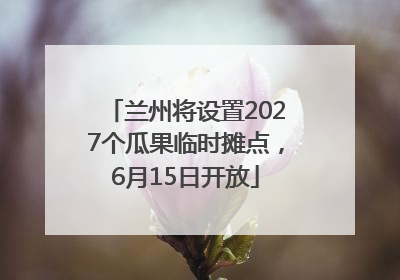 兰州将设置2027个瓜果临时摊点，6月15日开放