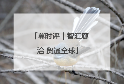 冀时评｜智汇廊洽 贸通全球