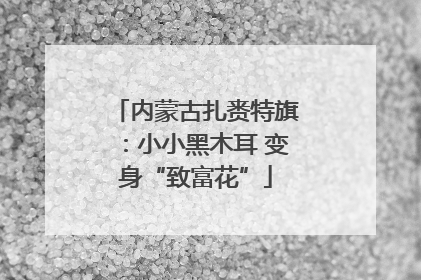 内蒙古扎赉特旗：小小黑木耳 变身“致富花”