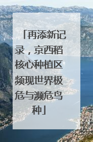 再添新记录，京西稻核心种植区频现世界极危与濒危鸟种
