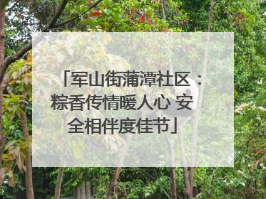 军山街蒲潭社区：粽香传情暖人心 安全相伴度佳节