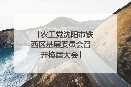 农工党沈阳市铁西区基层委员会召开换届大会