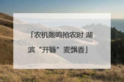 农机轰鸣抢农时 湖滨“开镰”麦飘香