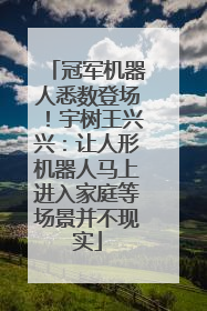 冠军机器人悉数登场！宇树王兴兴：让人形机器人马上进入家庭等场景并不现实