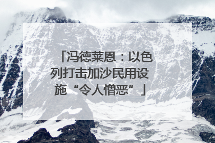 冯德莱恩：以色列打击加沙民用设施“令人憎恶”