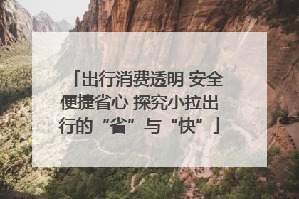 出行消费透明 安全便捷省心 探究小拉出行的“省”与“快”