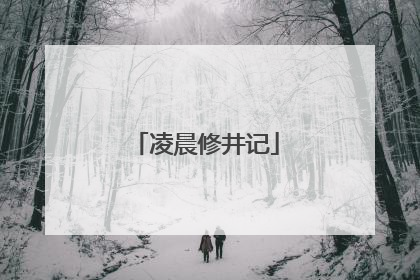凌晨修井记