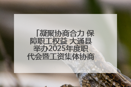 凝聚协商合力 保障职工权益 大通县举办2025年度职代会暨工资集体协商现场观摩交流活动