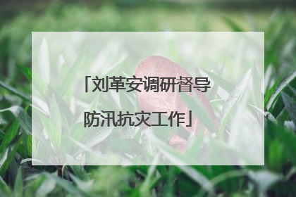 刘革安调研督导防汛抗灾工作