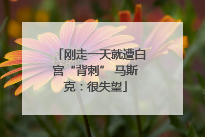 刚走一天就遭白宫“背刺” 马斯克：很失望