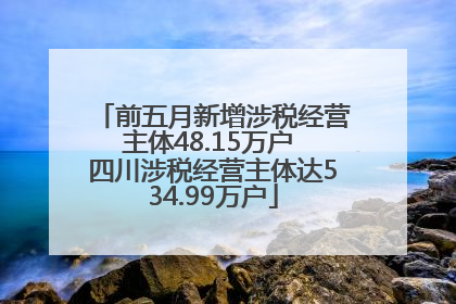 前五月新增涉税经营主体48.15万户 四川涉税经营主体达534.99万户