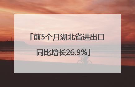 前5个月湖北省进出口同比增长26.9%