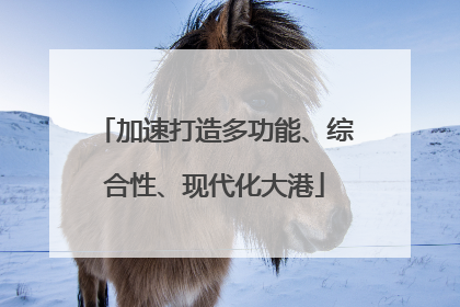 加速打造多功能、综合性、现代化大港