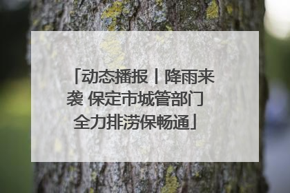 动态播报丨降雨来袭 保定市城管部门全力排涝保畅通