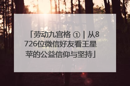 劳动九宫格 ①｜从8726位微信好友看王星苹的公益信仰与坚持