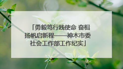 勇毅笃行践使命 奋楫扬帆启新程——神木市委社会工作部工作纪实