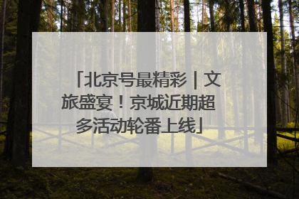 北京号最精彩｜文旅盛宴！京城近期超多活动轮番上线