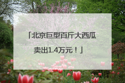 北京巨型百斤大西瓜卖出1.4万元！