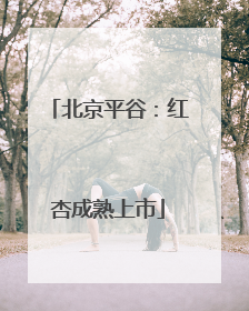 北京平谷：红杏成熟上市