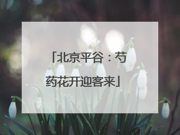 北京平谷：芍药花开迎客来