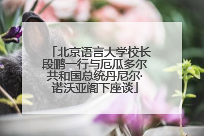 北京语言大学校长段鹏一行与厄瓜多尔共和国总统丹尼尔·诺沃亚阁下座谈