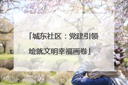 城东社区：党建引领绘就文明幸福画卷