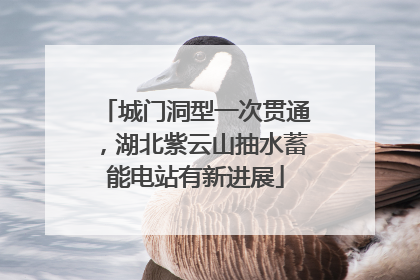城门洞型一次贯通，湖北紫云山抽水蓄能电站有新进展