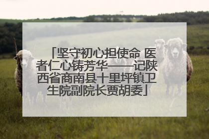 坚守初心担使命 医者仁心铸芳华——记陕西省商南县十里坪镇卫生院副院长贾胡委