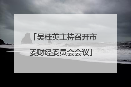 吴桂英主持召开市委财经委员会会议