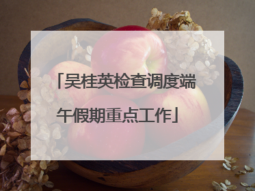 吴桂英检查调度端午假期重点工作
