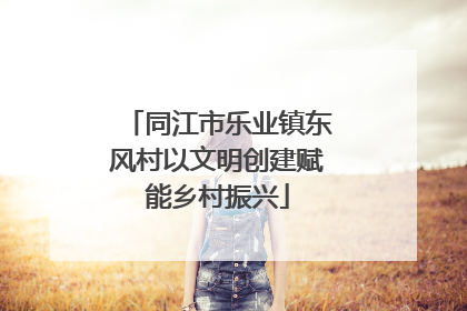 同江市乐业镇东风村以文明创建赋能乡村振兴