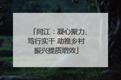 同江：凝心聚力、笃行实干 助推乡村振兴提质增效
