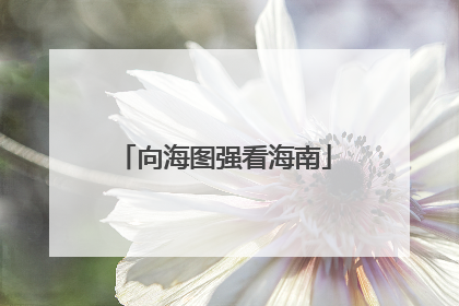 向海图强看海南