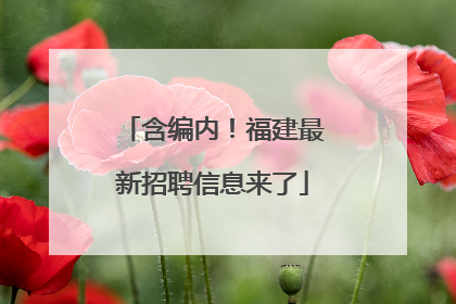 含编内！福建最新招聘信息来了