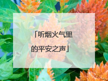 听烟火气里的平安之声