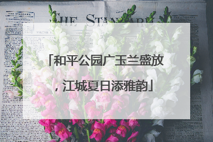 和平公园广玉兰盛放，江城夏日添雅韵