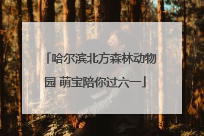 哈尔滨北方森林动物园 萌宝陪你过六一