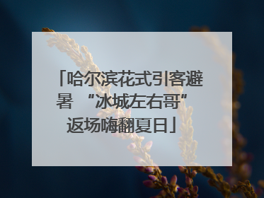哈尔滨花式引客避暑 “冰城左右哥”返场嗨翻夏日
